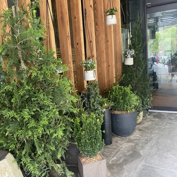 The Osprey - Beautiful entry - Australian Near Me - Brooklyn, New York
