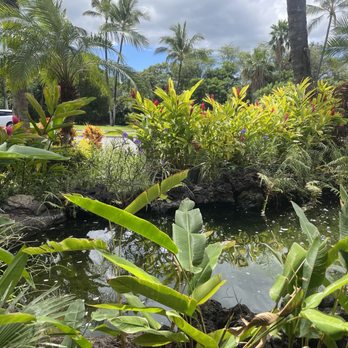 Monkeypod Kitchen by Merriman - New American Near Me - Kihei, Hawaii Monkeypod Kitchen by Merriman - New American Near Me - Kihei, Hawaii