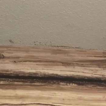 Legoland Hotel - Bedroom Mold! - Hotels Near Me - Carlsbad, California Legoland Hotel - Bedroom Mold! - Hotels Near Me - Carlsbad, California