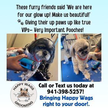 Happy Wags Mobile Grooming - Pet Groomers Near Me Happy Wags Mobile Grooming - Pet Groomers Near Me