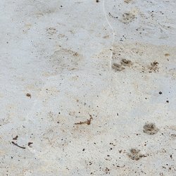 Cruz Concrete - More waves.