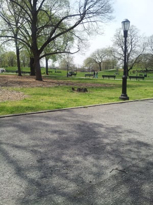 Ciccarone Park by null