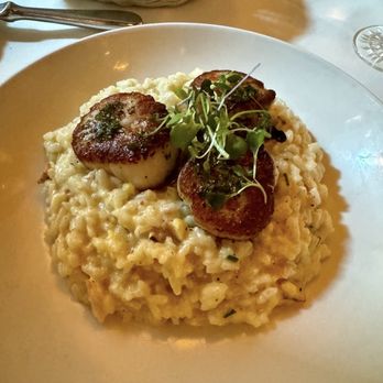 Il Terrazzo Carmine - Special - corn risotto with sea scallops - Italian Near Me - Seattle, Washington Il Terrazzo Carmine - Special - corn risotto with sea scallops - Italian Near Me - Seattle, Washington