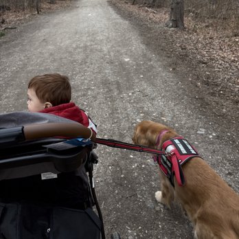 No Dogs Left Behind - Animal Shelters Near Me No Dogs Left Behind - Animal Shelters Near Me