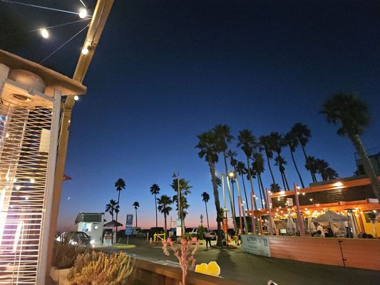 The Venice Whaler by null