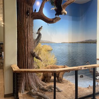 Big Bear Discovery Center - Cute photo spot - Hiking Near Me - Fawnskin, California Big Bear Discovery Center - Cute photo spot - Hiking Near Me - Fawnskin, California