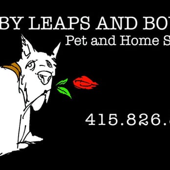 By Leaps and Bounds - Dog Walkers Near Me By Leaps and Bounds - Dog Walkers Near Me