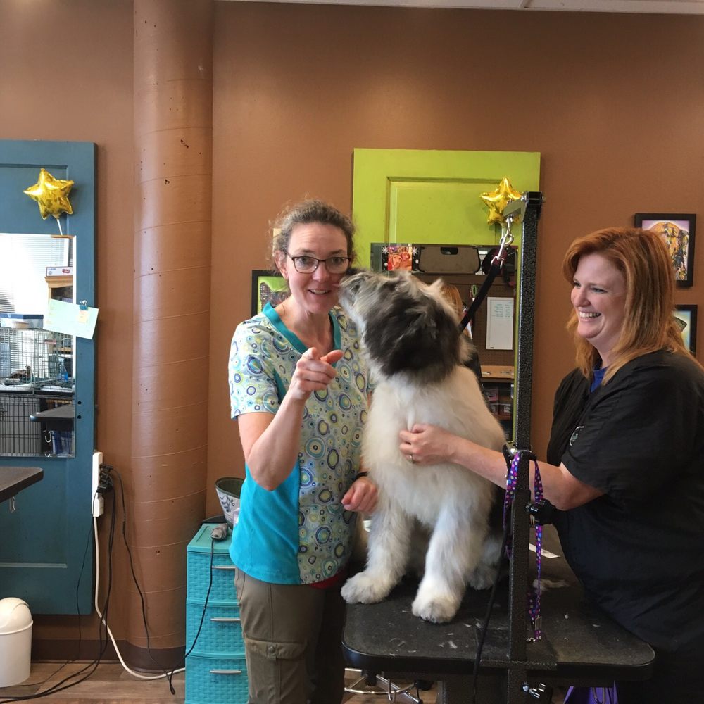 Canine Divine - Pet Groomers Near Me - Blaine, Washington