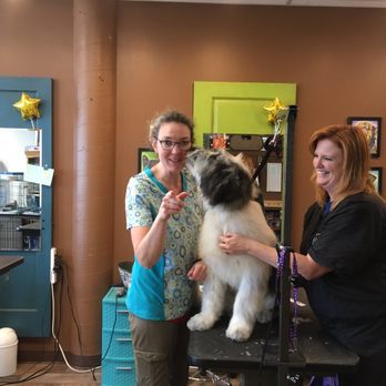 Canine Divine - Pet Groomers Near Me - Blaine, Washington