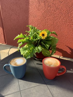 Cafe Ole by null