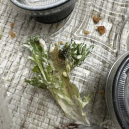 Soggy lettuce