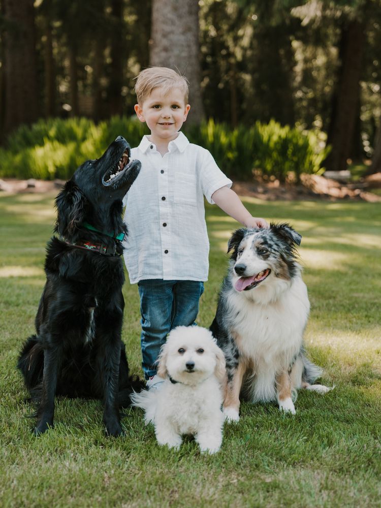 A&V Dog Training - pet boarding facility in Lake Oswego, OR