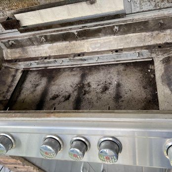 Bar-B-Clean - Dirty grill with dead mice. They cleaned out the nest before the photo was taken. - Grill Services Near Me Bar-B-Clean - Dirty grill with dead mice. They cleaned out the nest before the photo was taken. - Grill Services Near Me
