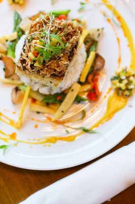 The Lime Lite by null