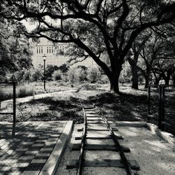 Hermann Park Railroad