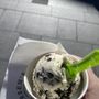 Photo of Andersen's of Denmark Ice Cream