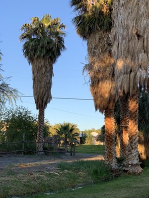 Shoshone Trailer RV Park by null