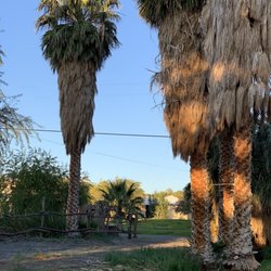 Shoshone Village Campground & RV Park - Shade in the camping area