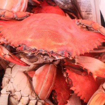 Ramsey's Grocery & Bait - a basket of crabs - Grocery Near Me - Covington, Louisiana Ramsey's Grocery & Bait - a basket of crabs - Grocery Near Me - Covington, Louisiana