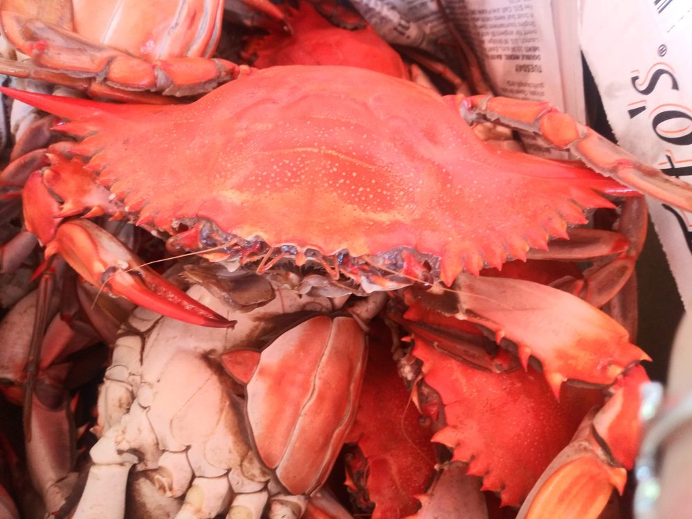 RAMSEY’S GROCERY & BAIT Updated July 2024 75277 Hwy 25, Covington