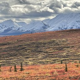 Grizzly came out of nowhere and the fall colors were spectacular!!