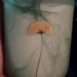 Pretty addition to my candle Pretty addition to my candle