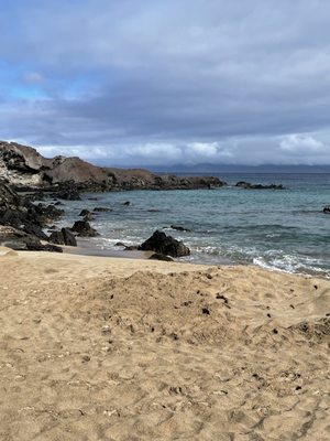 Slaughterhouse Beach by null