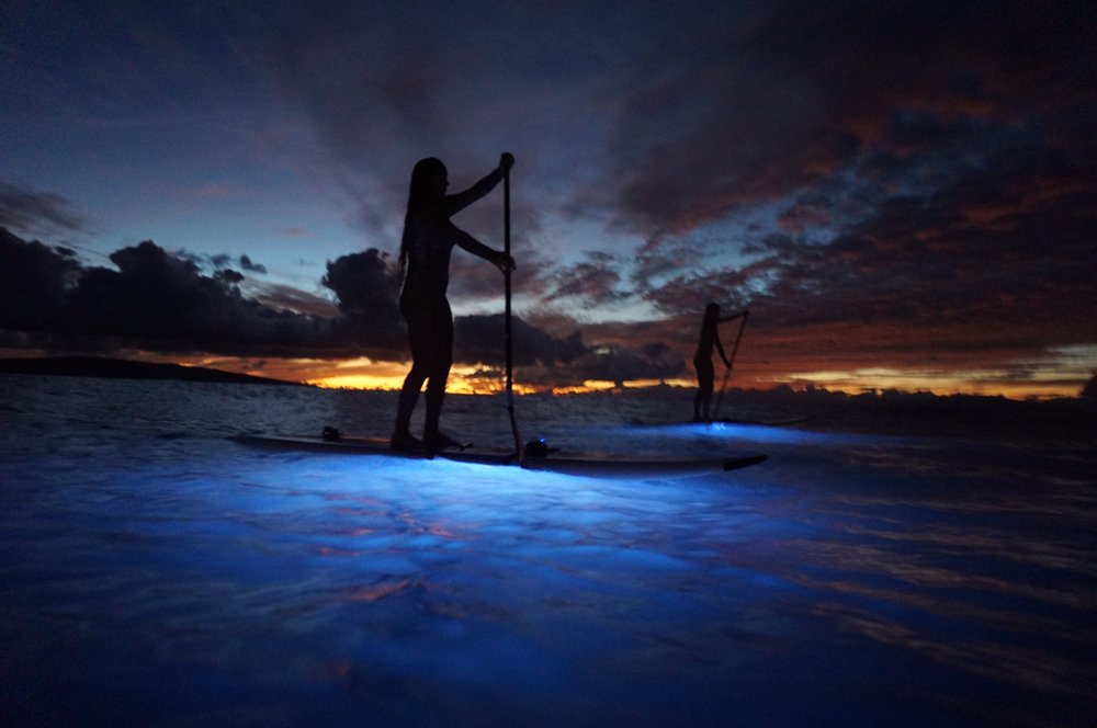 Maui Stand Up Paddles Logo