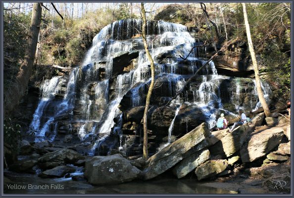 Yellow Branch Falls by null