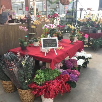 Repetto's Greenhouse Florists - Nurseries & Gardening Near Me - Half Moon Bay, California Repetto's Greenhouse Florists - Nurseries & Gardening Near Me - Half Moon Bay, California