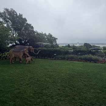 Harbor View Hotel - Hotels Near Me - Edgartown, Massachusetts