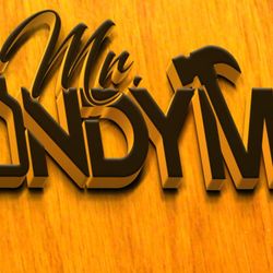 Mr Handyman