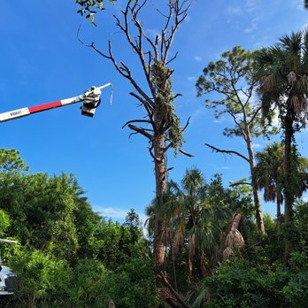 James Tree Services - Tree Services Near Me James Tree Services - Tree Services Near Me
