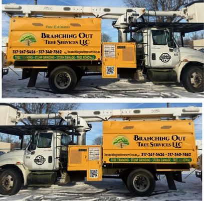 Tree Service - Tree Service