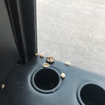 Platinum Transportation STL - 8 pistachios on the window sill. - Limos Near Me Platinum Transportation STL - 8 pistachios on the window sill. - Limos Near Me