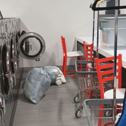 Speed Queen Laundry - Laundry machines and carts