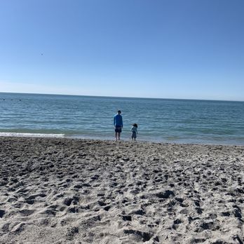 Brohard Paw Park & Beach - Dog Parks Near Me - Venice, Florida