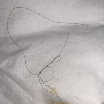 317 Burger - Cooks hair pulled from the cheese on my burger - Burgers Near Me - Indianapolis, Indiana