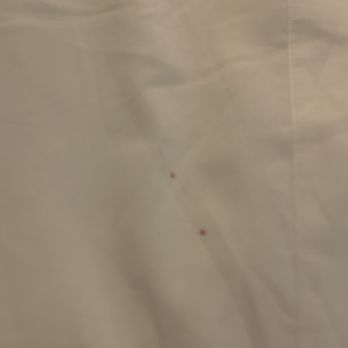 EXchange Hotel Vancouver - More blood on the sheet. - Hotels Near Me - Vancouver, British Columbia EXchange Hotel Vancouver - More blood on the sheet. - Hotels Near Me - Vancouver, British Columbia