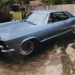 Blue Moon Estate Sales