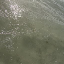 A little murky A little murky