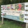 Photo of Hamilton Family Orchards