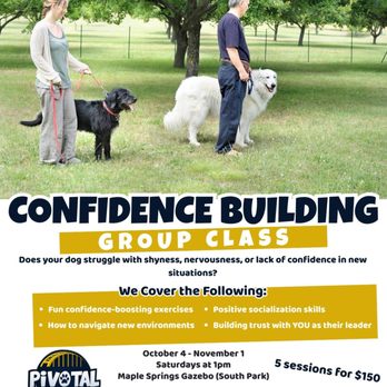 Pivotal Dog Training - Pet Training Near Me Pivotal Dog Training - Pet Training Near Me