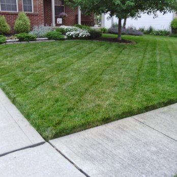 Iom Landscaping - a front yard of a house - Lawn Services Near Me Iom Landscaping - a front yard of a house - Lawn Services Near Me