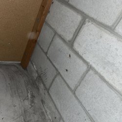 CubeSmart Self Storage - Crickets infestation