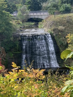 Albion Falls by null