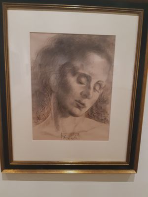 University of Arizona Museum of Art by null