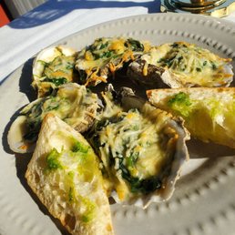 Oysters