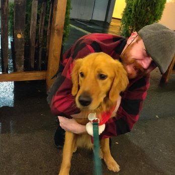 Santiam Brewing - Finley the Golden with Todd, our awesome server. - Brewpubs Near Me - Salem, Oregon Santiam Brewing - Finley the Golden with Todd, our awesome server. - Brewpubs Near Me - Salem, Oregon