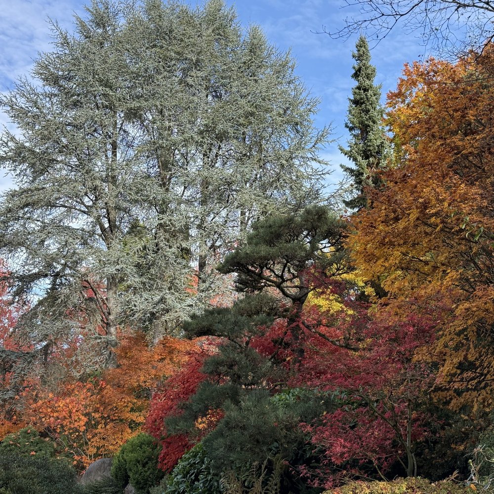 Kubota Garden - Fall colors - Botanical Gardens Near Me - Seattle, Washington Kubota Garden - Fall colors - Botanical Gardens Near Me - Seattle, Washington